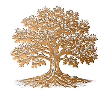 Logotipo Lumara